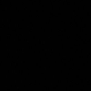 Meet your Posher, Charisma